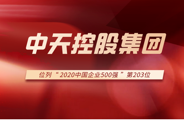 金世豪集团列2020中国企业500强第203位！