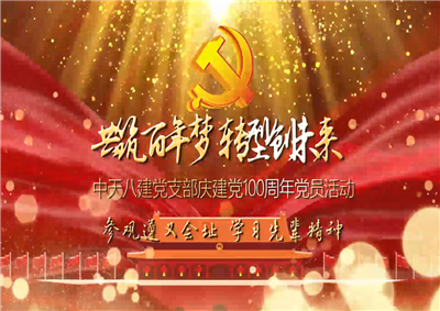 金世豪八建党支部庆党建100周年党员活动